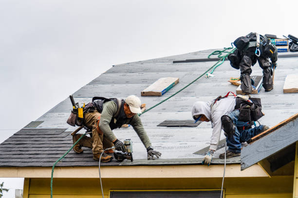 Professional Storm Damage Roof Repair technician working in Edmeston, NY
